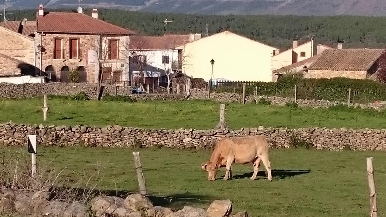 Posada La Fragua Gandullas Eksteriør bilde